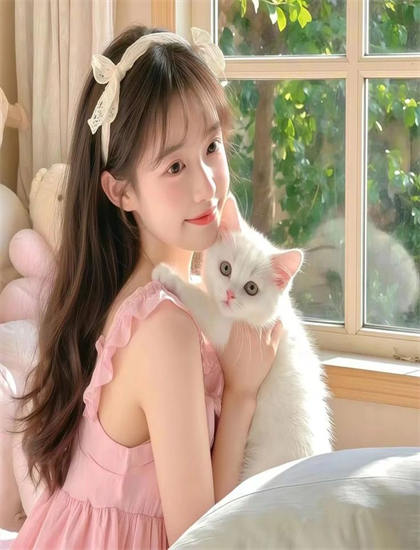 提名影片：探索《向往的生活 第六季》的奥秘：隐藏细节与深层意义